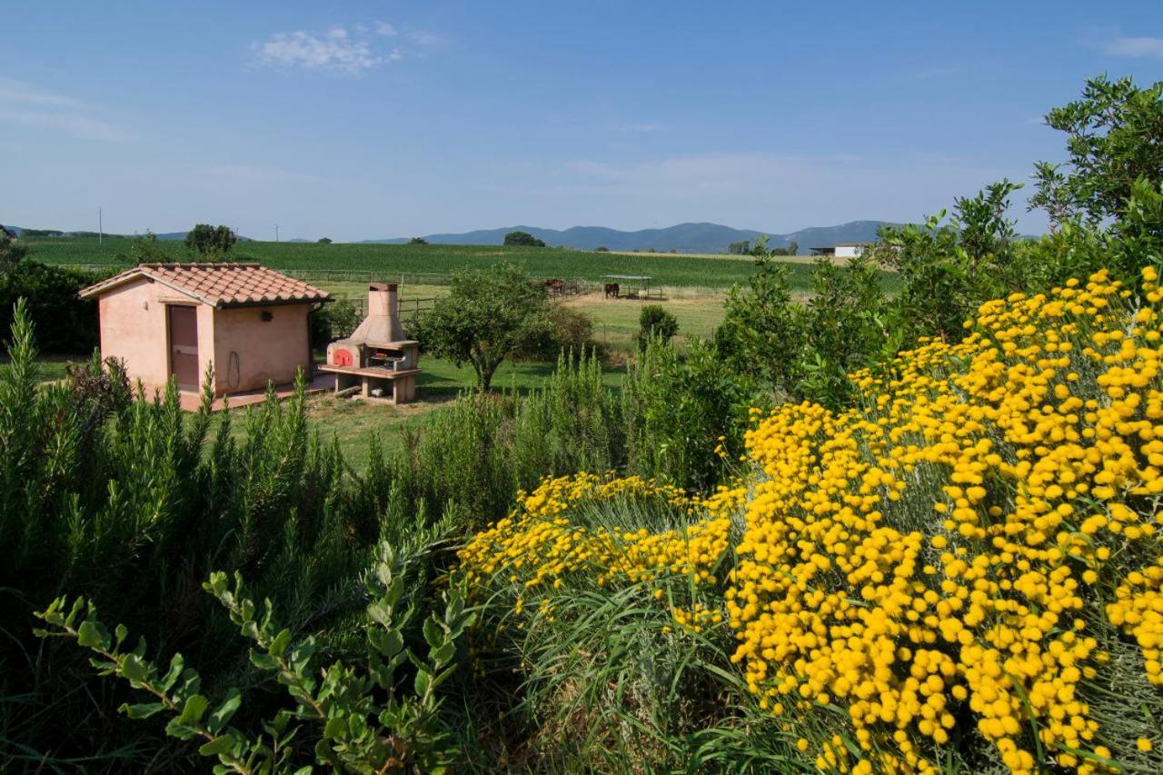 Agriturismo Il Melograno Di Banditella Alberese Dış mekan fotoğraf